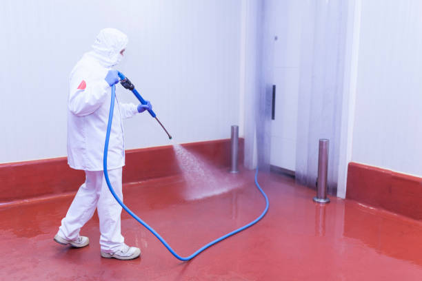 Best Rust Removal  in Myersville, MD